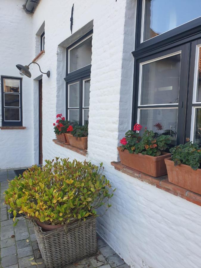 De Levensboom - Het Oud Gemeentehuis Damme Esterno foto