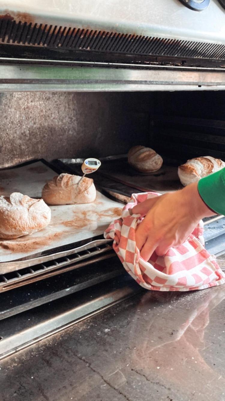 De Levensboom - Het Oud Gemeentehuis Damme Esterno foto