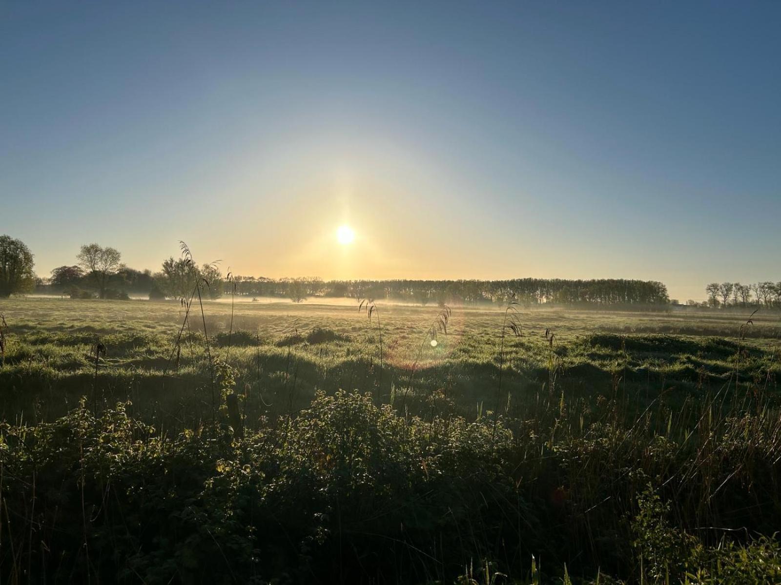 De Levensboom - Het Oud Gemeentehuis Damme Esterno foto